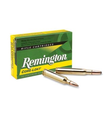AMMUNITION